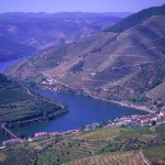 Douro Vinhateiro