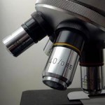 Cientistas