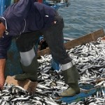 Pesca