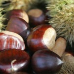 Associação Portuguesa Castanha